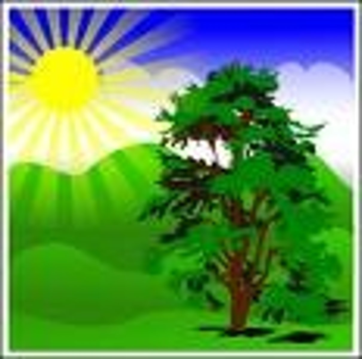 <p>It's nice weather</p>