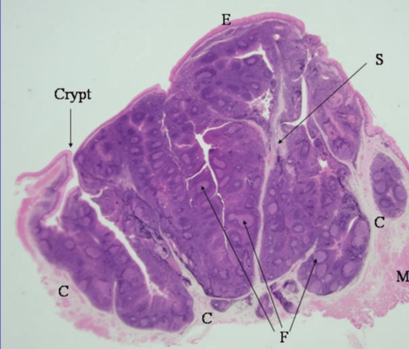<p>what is this?</p>