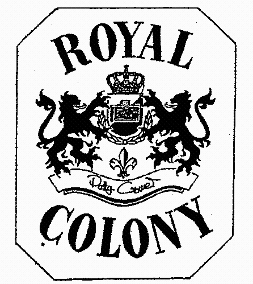<p>Colonies under the direct authority and rule of the king's government, such as Virginia after 1624.</p>