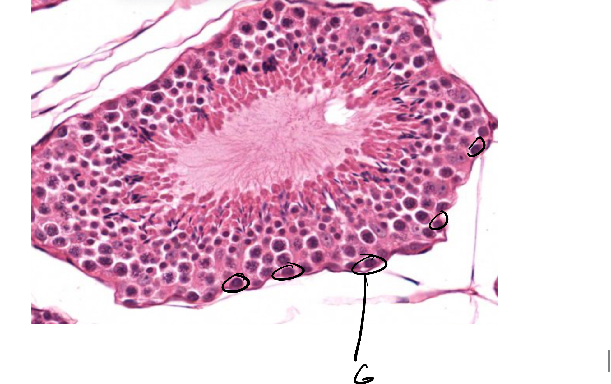 <p>6</p>