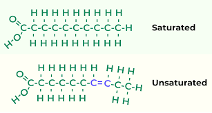 <p>Many carbons and hydrogens, few other types of atoms</p><p>May have fatty acids as part of its structure</p><p>Saturated and unsaturated fatty acids have different structures</p>