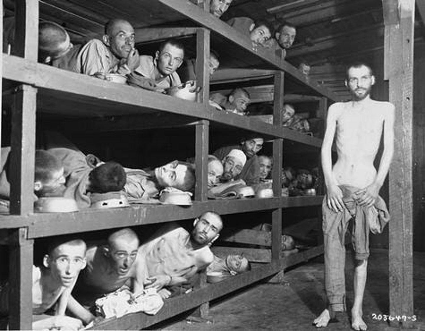 <p>the organized killing of European Jews and others by the Nazis during WWII</p>