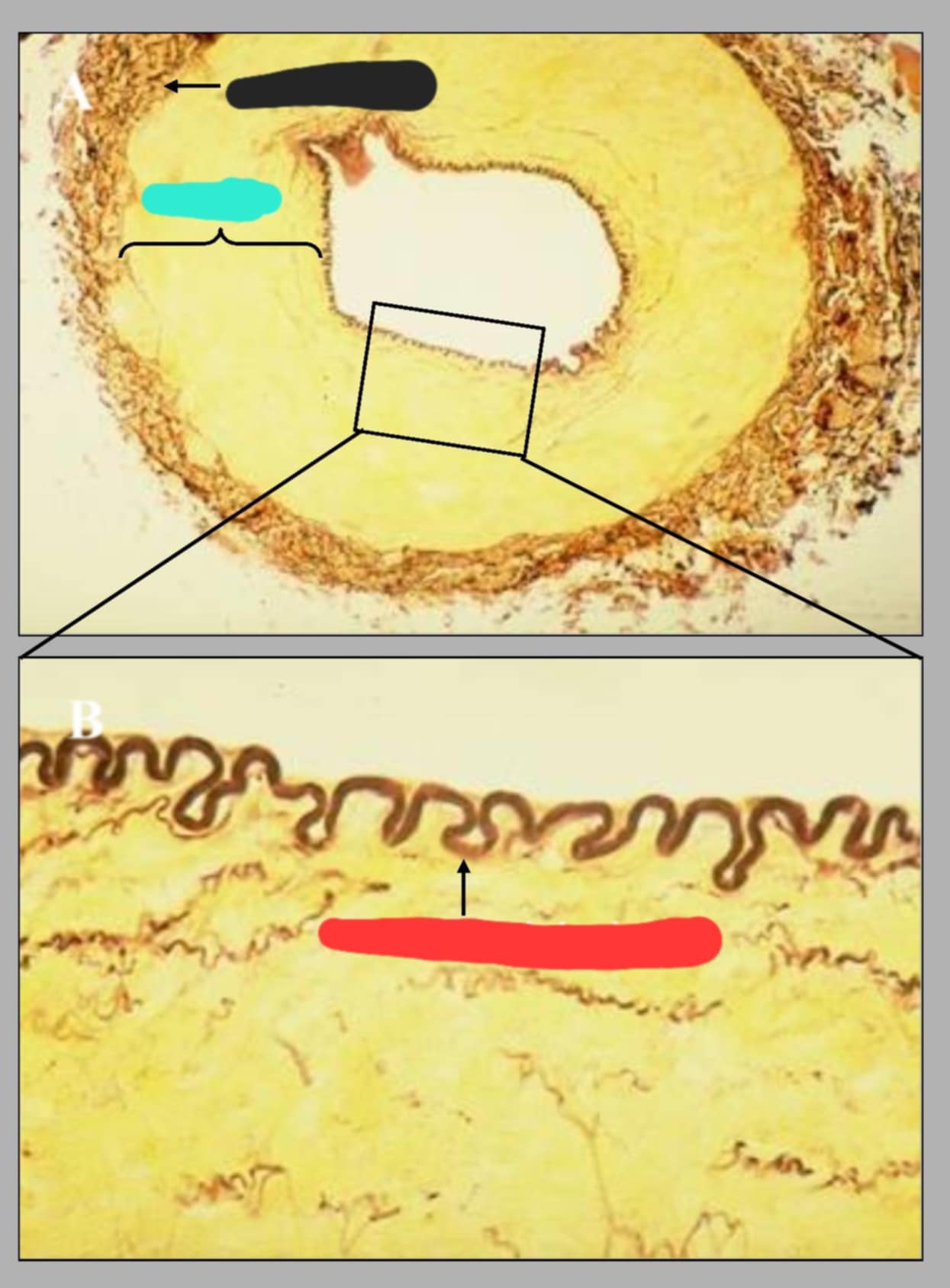 <p>name of this slide and its parts.</p>