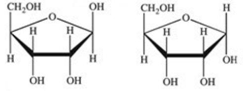 <p>What term properly describes the relationship between the two compounds shown?</p><ul><li><p>enantiomers</p></li><li><p>betamers</p></li><li><p>unrelated</p></li><li><p>anomers</p></li><li><p>constitutional isomers</p></li></ul><p></p>