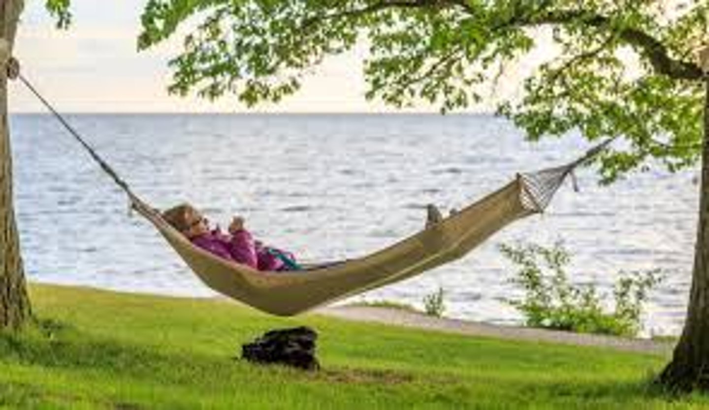 <p>Definition: To provide instant mental relief from stress, exhaustion, or sensory overload. (shake off the day)</p><p>Trick: "Respite" is a short period of rest or relief, like a quiet pause during a chaotic day. Application: Urban parks are crucial because they offer immediate psychological respite from the frantic pace of metropolitan life.</p>