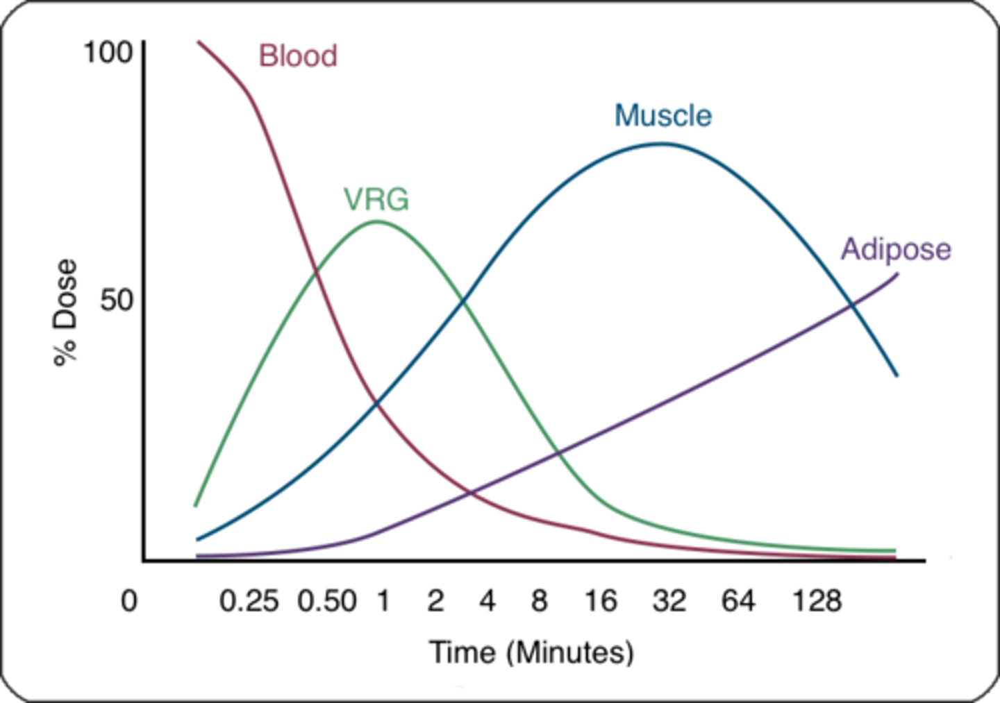 <p>1 minute</p><p>-Blood concentration declines over time.</p><p>-There is a rapid distribution from the blood to the vessel rich group. Then from the VRG to the muscle and fat.</p>