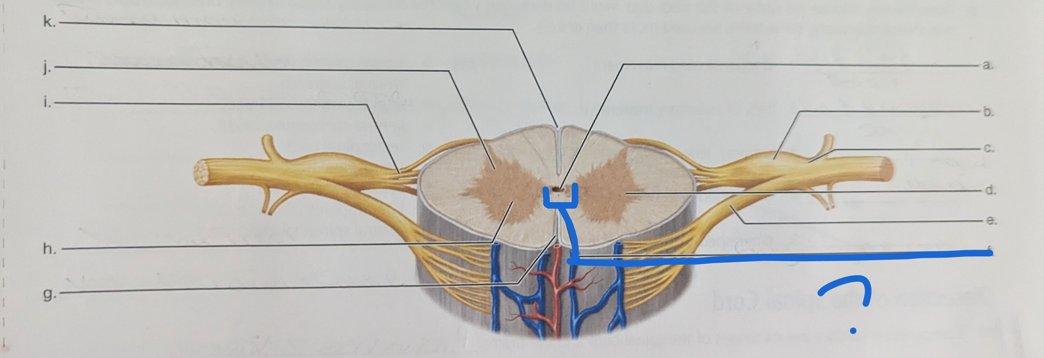 <p>What is the name of this?</p>