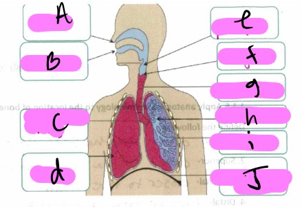 <p>What’s “c"?</p>