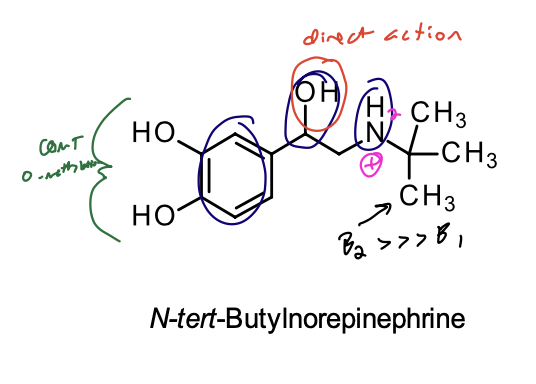 <p><span>•</span> <em>t</em>-Butyl substituent on the nitrogen gives it a slight selectivity for the <span>B2</span> receptor.</p><p class="p1"><span>•</span> Catechol prevents it from being highly selective for the <span>B2</span> receptor.</p><p class="p1"><span>•</span> Presence of the catechol results in poor bioavailability and metabolic stability</p>