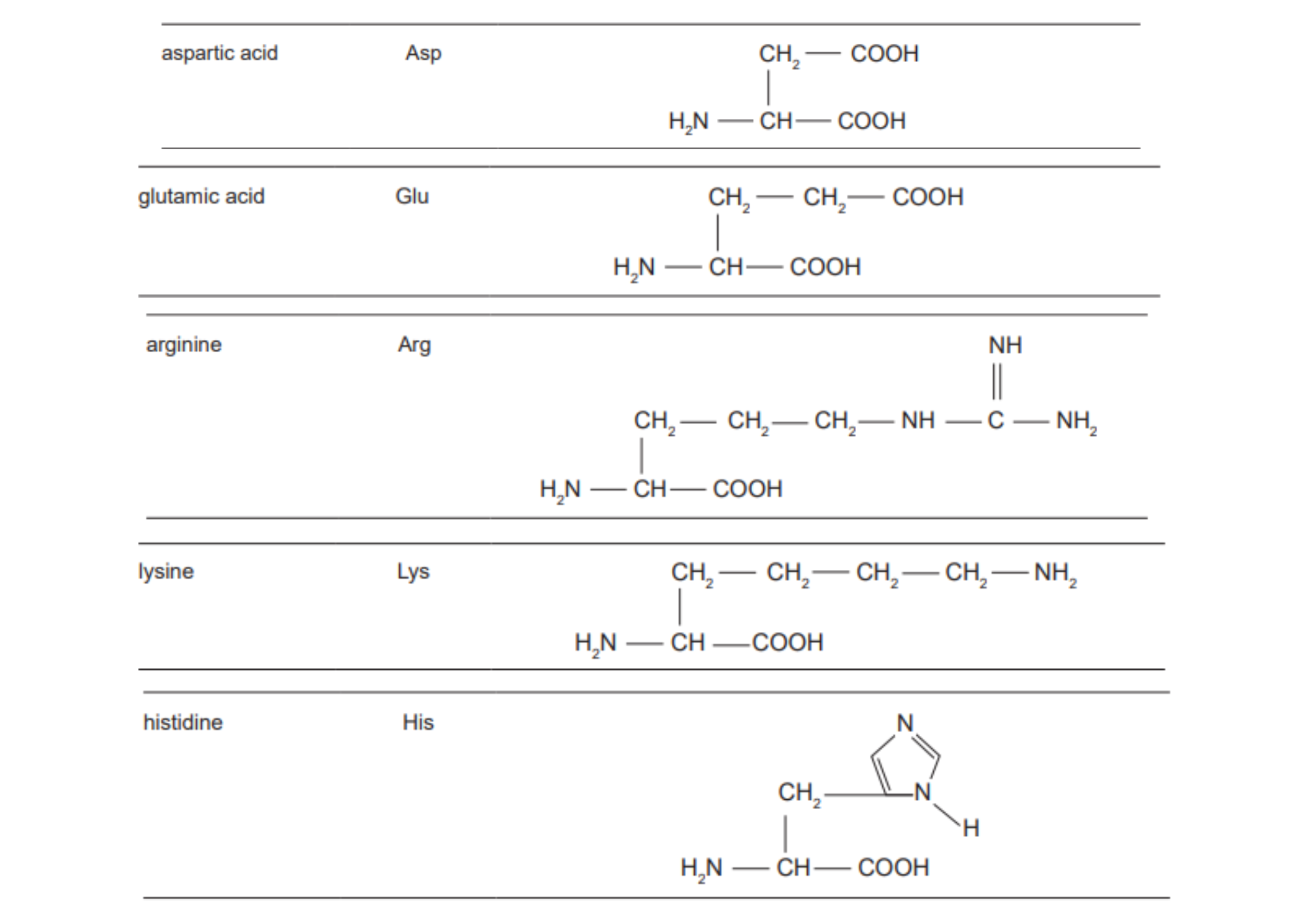 <p>Acidic and Basic Amino acids</p>