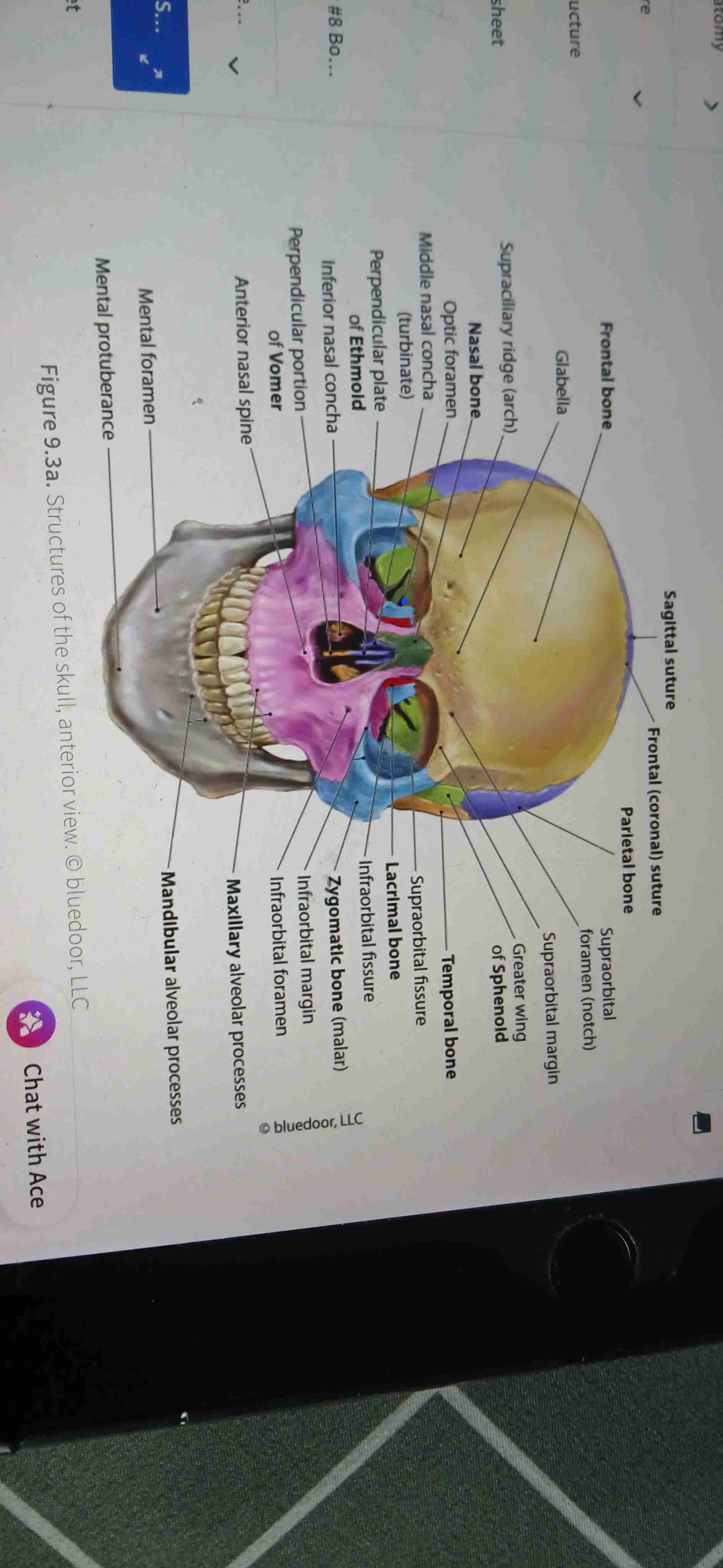 knowt flashcard image