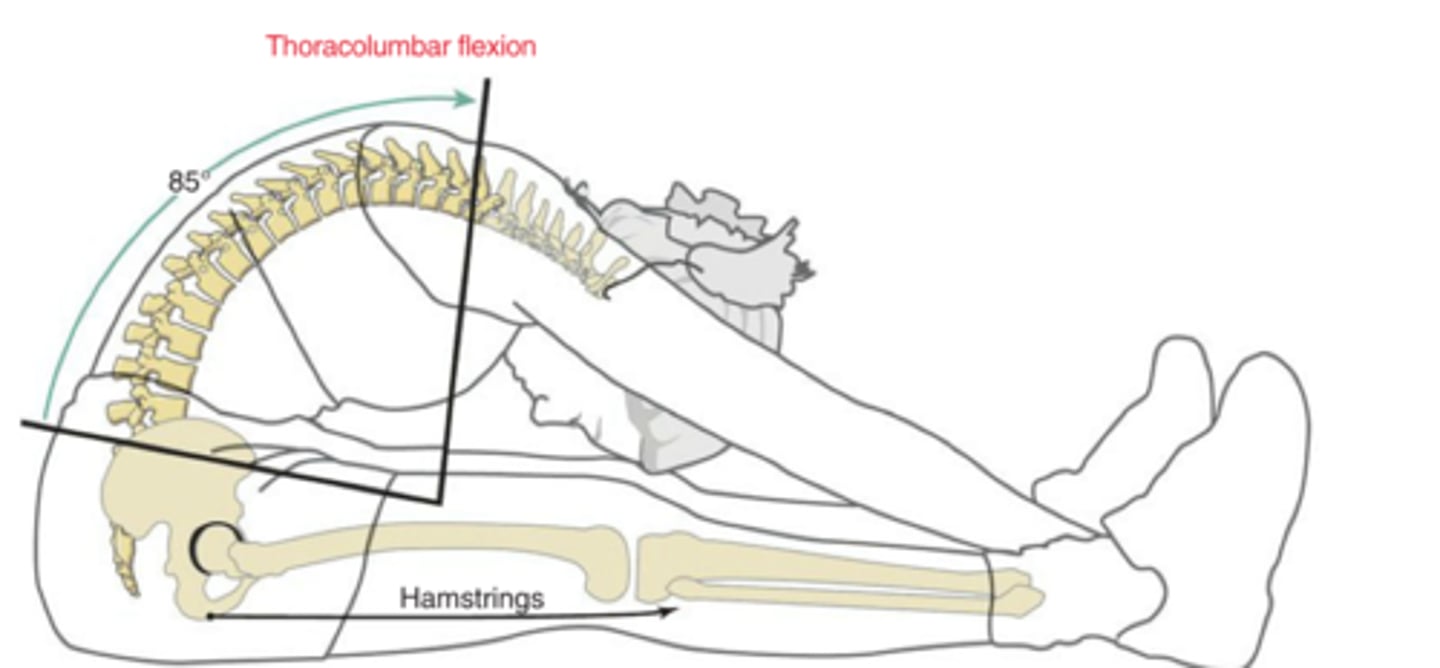 <p>Thoracic Region:</p><p>In thoracolumbar flexion, the facets are doing what?</p>