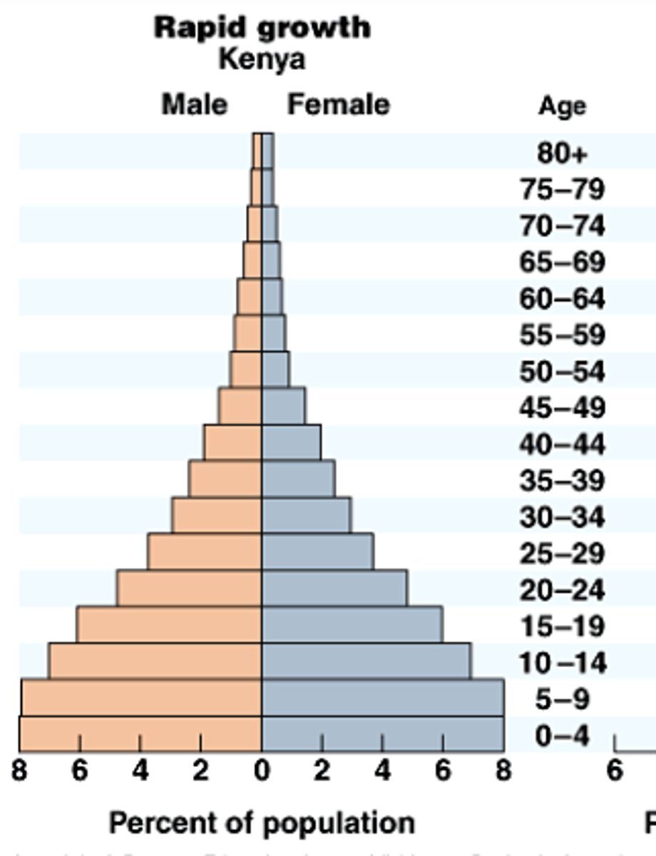 <p>wide base and narrow top</p>