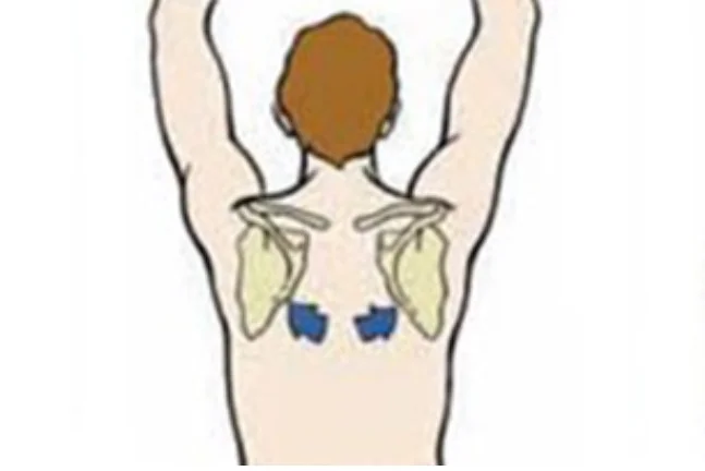 <p>what is this scapular motion?</p>