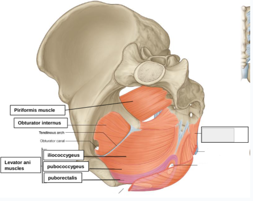 <p>what structure is that?</p>