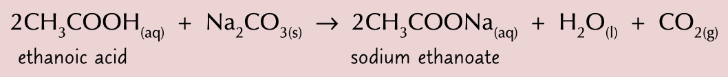 <p>carboxylic acids react with them to form a salt, carbon dioxide and water</p>