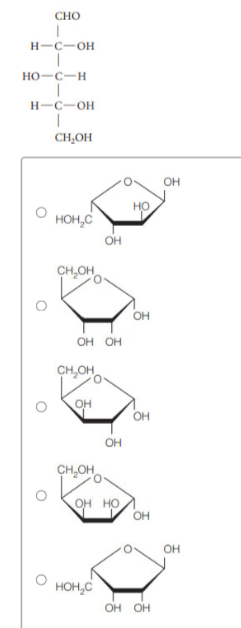 Choose Haworth projections for the following:

The L isomer of