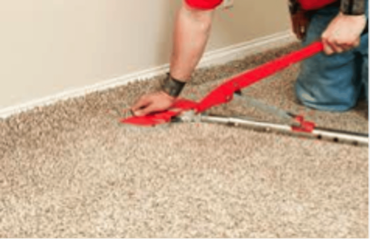 <p>carpeting (wall to wall)</p>