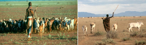 <p>A seasonal periodic movement of pastoralists and their livestock between highland and lowland pastures</p>