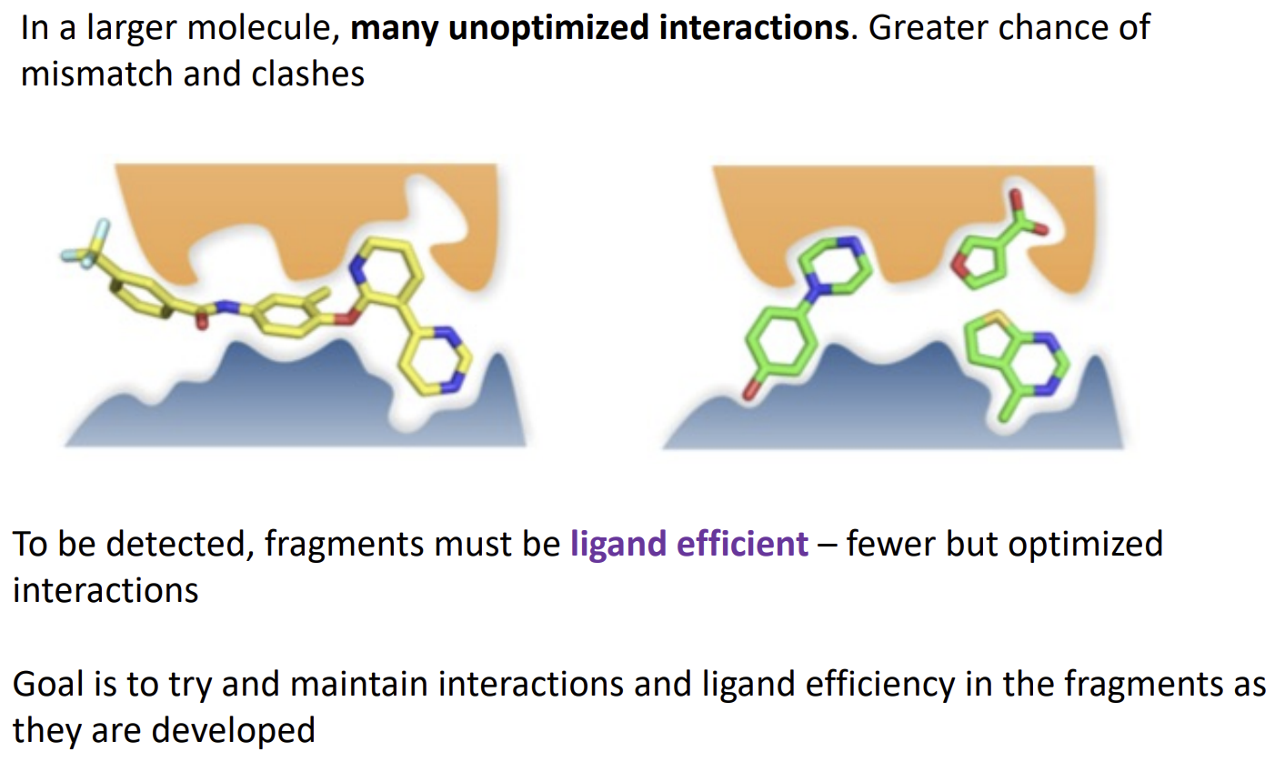 <p>The molecule has weak potency (mM rather than uM) for a lead but has a low molecular weight so is very developable. It importantly has high quality interactions (as it has few interactions they have to be good)</p>
