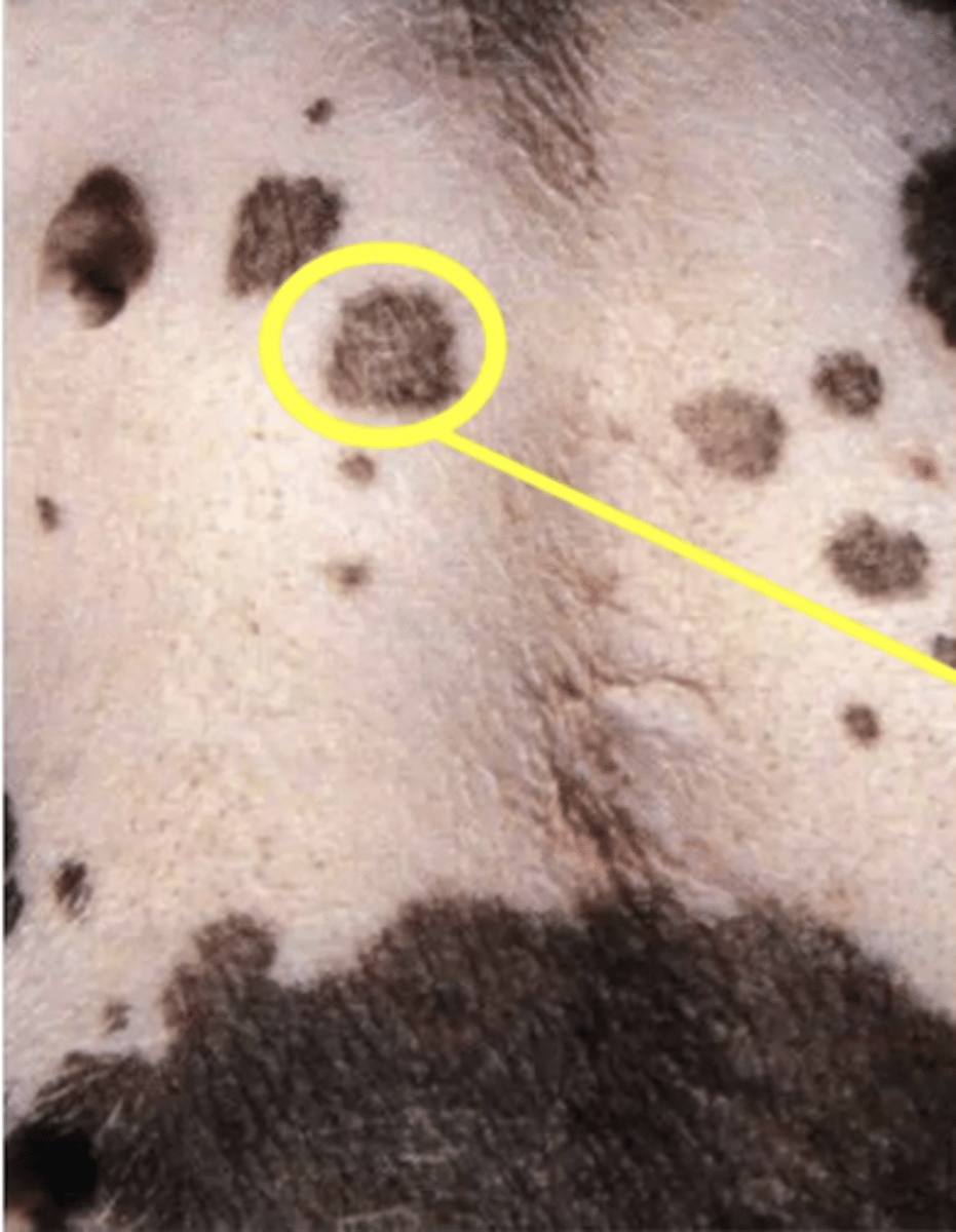 <p>what is this?</p>