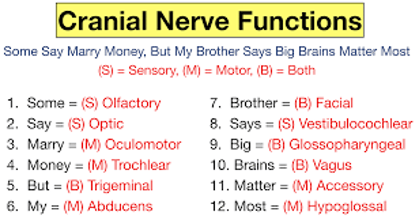 <p>See image</p>