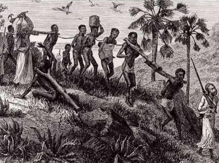 <p><span style="background-color: transparent; font-family: "Red Hat Display", sans-serif;">What is the Second Middle Passage?</span></p>