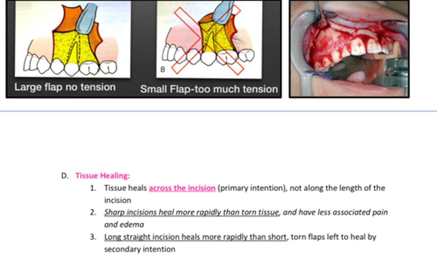 <p>Tissue heals ______ the incision (primary intention) </p>