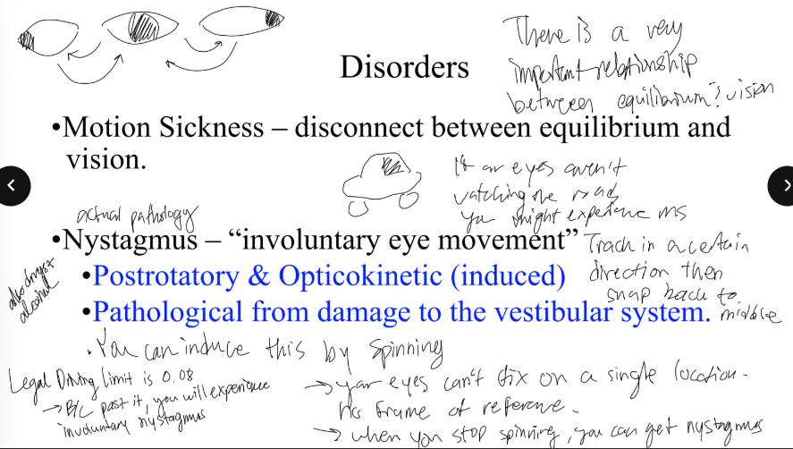 <p>how does one get nystagmus?</p>