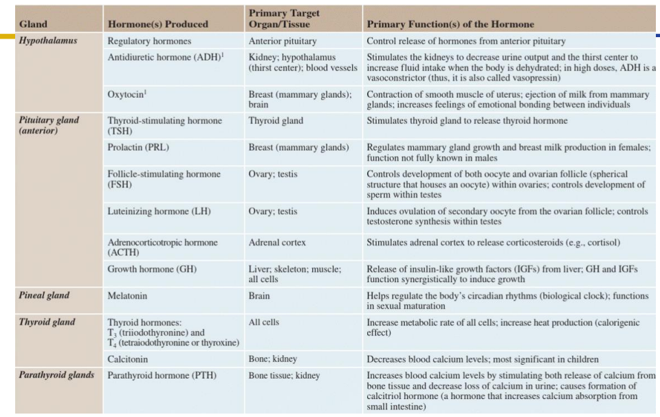 <p>TAKE HOME MESSAGES HORMONES AND GLANDS</p>
