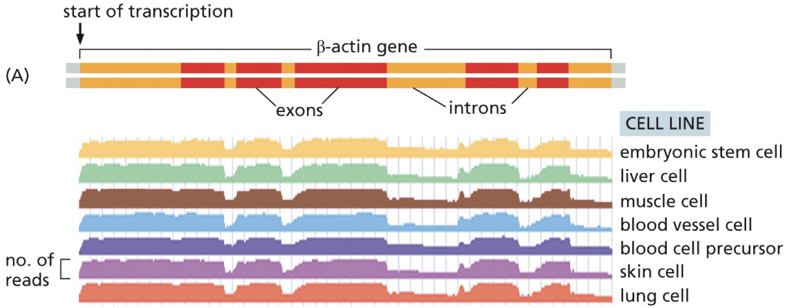 RNA-seq data