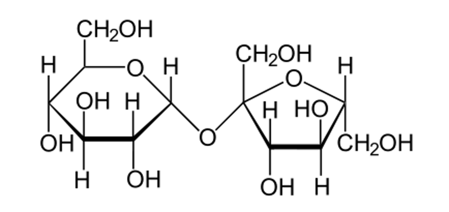 <p>α-glucose + fructose</p>