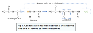 <ul><li><p><span>Diamine molecules have amine groups (R-NH2) at either end of their molecules. </span></p></li><li><p><span>The amine and carboxylic acid groups react to form amide links between the molecules. </span></p></li><li><p><span>Water is removed from the reaction.</span></p></li></ul><p></p>