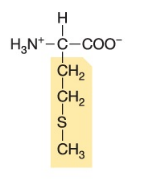 <p>Non-polar, hydrophobic</p>