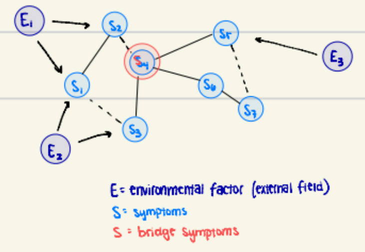 <p><span>When the external factor is no longer playing a role and the nodes or symptoms are in a self sustaining cycle of distress.</span></p><ul><li><p>many diff causes for a disorder rather than bio</p><ul><li><p>symptom network: symptoms are connected in a network</p></li><li><p>external field: things in/out body, but out of network, that trigger</p></li></ul></li></ul><ul><li><p>big boom(bang) theory (little planets of symptoms everywhere)</p></li></ul><p></p>
