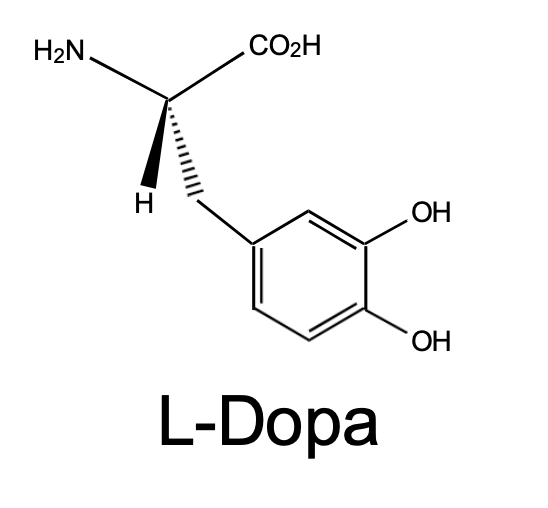 <p>What Transporters does this drug taken up?</p>