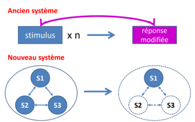 <p>La mémmoire déclarative ets un types de mémoire associative </p><p>ce ne sont ni des bibliothèques, ni des ordinateurs.</p><p>- Elle est prodigieuse mais capricieuse.</p><p>- Elle est volatile et menteuse : on peut avoir de faux souvenenirs (étude sur la navette challenger et sur comment ils ont appris la nouvelle)</p><p>- Elle n’est pas entièrement contrôlable par la volonté.</p><p>- Elle est avantageusement imparfaite.</p><p>Ici, nous avons un système où les informations sont reliées ; les stimuli sont reçus en même temps et un lien automatique se crée entre ces derniers. Lors de la remémoration d’un des éléments, ce dernier peut raviver les autres, tout l’épisode.</p><p>L’apparition de la mémoire associative est l’œuvre de l’évolution naturelle. En effet, l’animal est mobile dans un milieu complexe afin de trouver de la nourriture/des partenaires et éviter ses ennemis. → Mémoire associative spatiale = carte de l’environnement qui permet de décoder les stimuli que l’animal rencontre dans un contexte spatial particulier ; il sait où il doit aller et où il ne doit pas aller</p><p>Chez l’homme, il y a des dimensions nouvelles :</p><p>• La mémoire associative nourrit une base de données faite de connaissances sur l’environnement, les personnes, le monde,…</p><p>• La mémoire associative lie les expériences personnelles avec le contexte temps/espace en des épisodes uniques dont le sujet est conscient qu’il les a vécu personnellement (importance pour définir la personnalité = mémoire autobiographique).</p><p>➔ Rôle essentiel du langage.</p><p>NB : les animaux aussi peuvent associer une expérience et l’espace-temps. Exemple : les oiseaux qui cachent des graines et qui vont les rechercher pendant l’hiver.</p>
