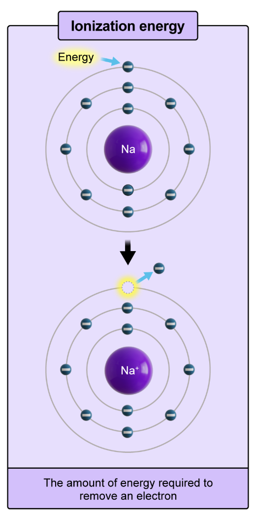 <p>the amount of energy required to <strong>remove</strong> an electron</p>