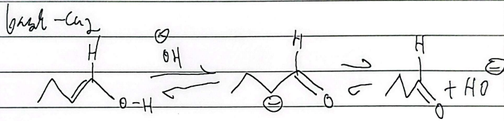 <p>base-cat, carboanion formed, base regens, aldehyde</p>