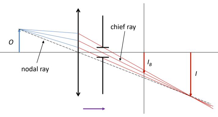 <p>chief</p>