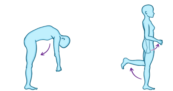 bending (pembekokan) movement that decreases the angle of joint (sudut sendi), pergerakan yg membuat sudut sendi mengecil