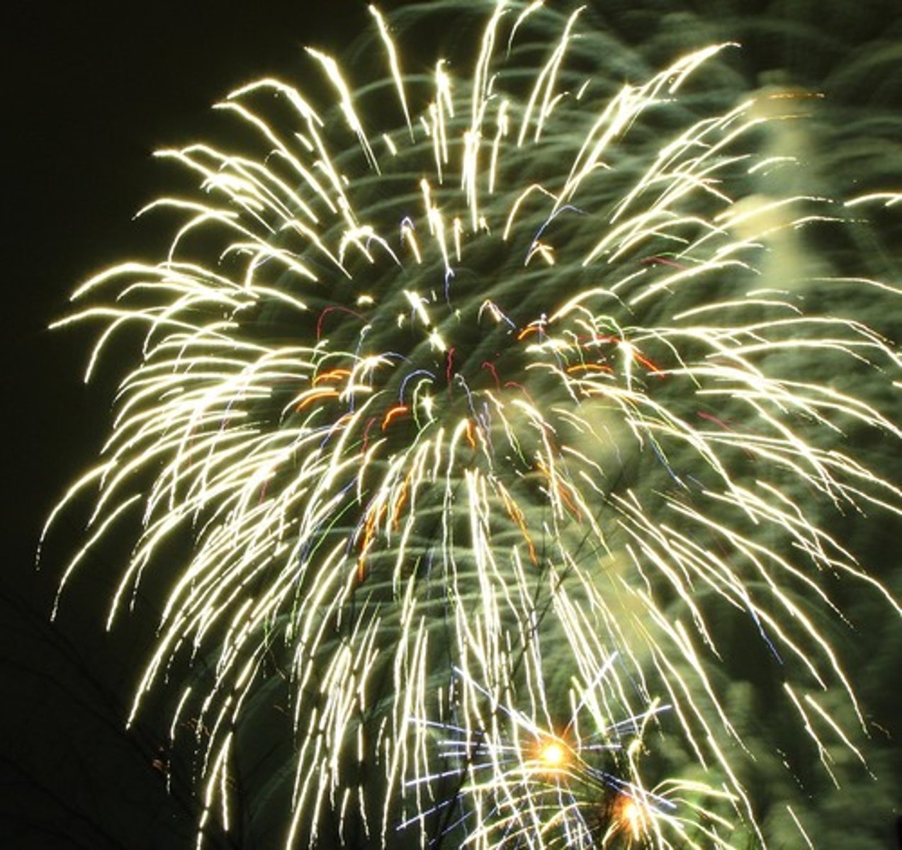 <p>Exploding Fireworks</p>