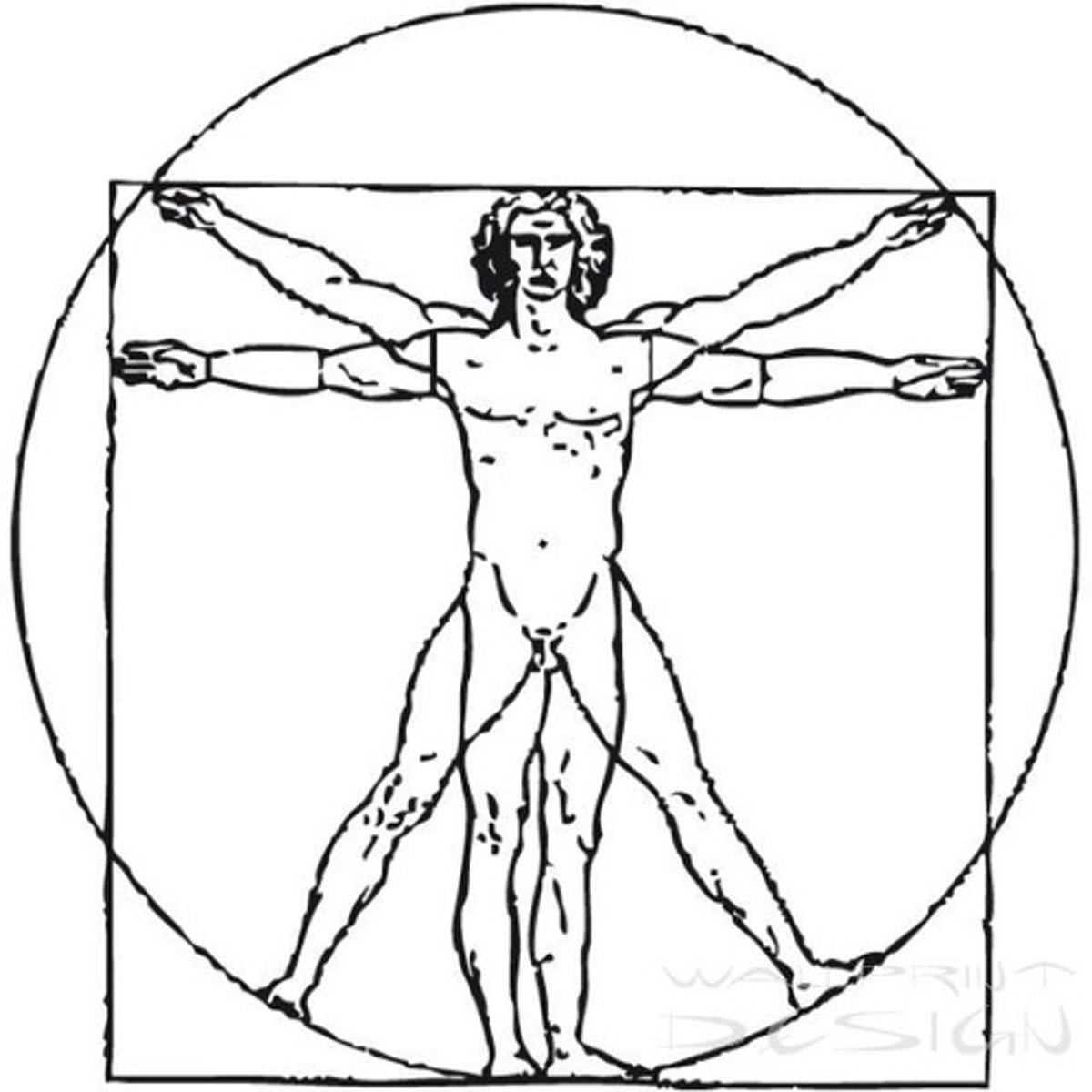 <p>person, people</p><p>человек</p>