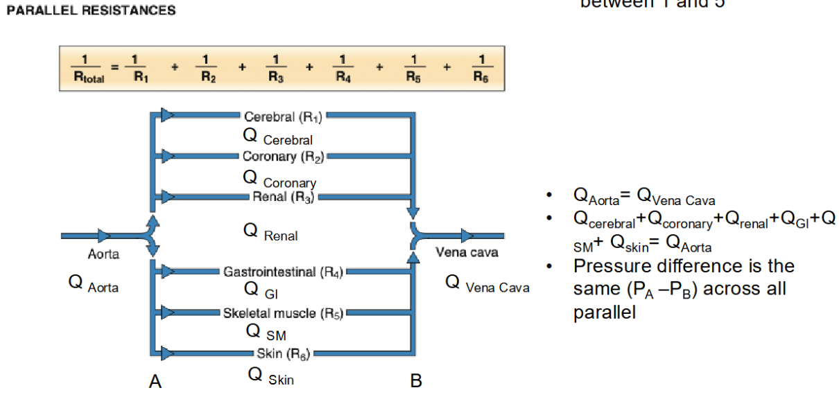 <p>they have the same pressure difference</p>