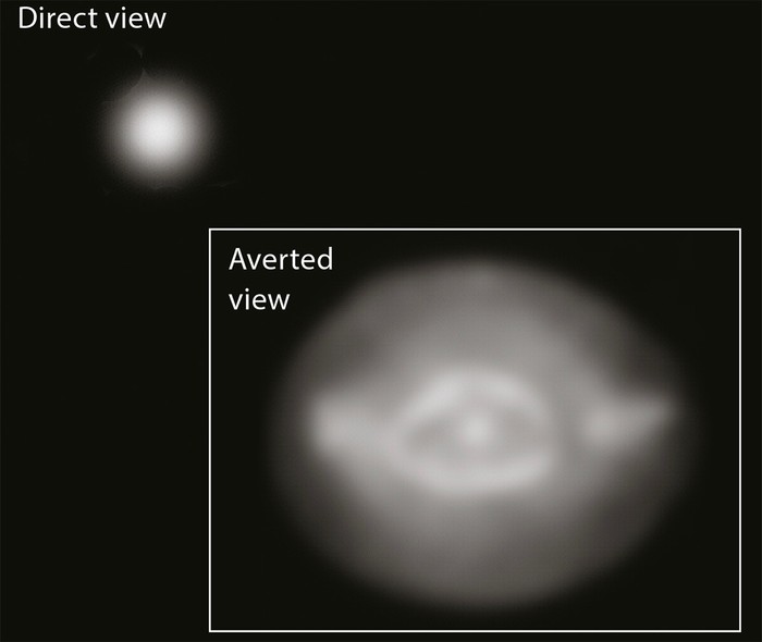 Observers should look slightly to the side of the object (using averted vision) so that the rods are stimulated, allowing the object to be seen.

