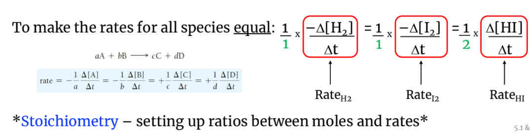 <p>Can be used to find the rates for other species</p><p>Ex: In H2 +I2–&gt;2HI the rate of appearance of HI is twice the rate of disappearance of H2 or I2-proportional to moles(coefficients). To make the rates for all species equal:</p><p>1H2+1I2+1/2HI(1 is half of 2 so the rate for HI has to be 1/2)(make it half of a rate to get it to one(which is the rate of the reactants).</p>