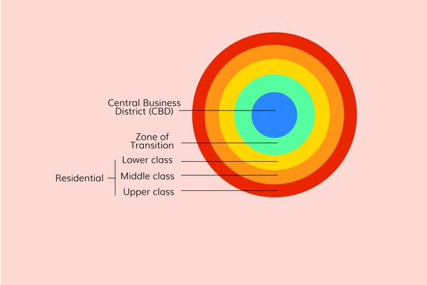 <ul><li><p>City grows OUTWARDS</p></li><li><p>Central Business District → Factories → Low Class Residential (Zone of Transition) → Middle Class Residential → Upper Class Residential</p><ul><li><p>Therefore, the further you are from the CBD the more land costs/wealthier you are</p></li></ul></li><li><p>Outdated - predates the widespread use of cars </p></li><li><p>Think about Burgess + Bullseye</p></li></ul><p>EXAMPLE- 1920s Chicago</p><p></p>