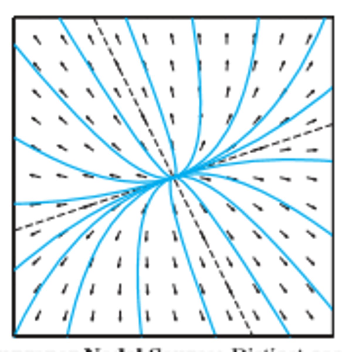 <p>Distinct positive real eigenvalue without two linearly independent eigenvectors</p>