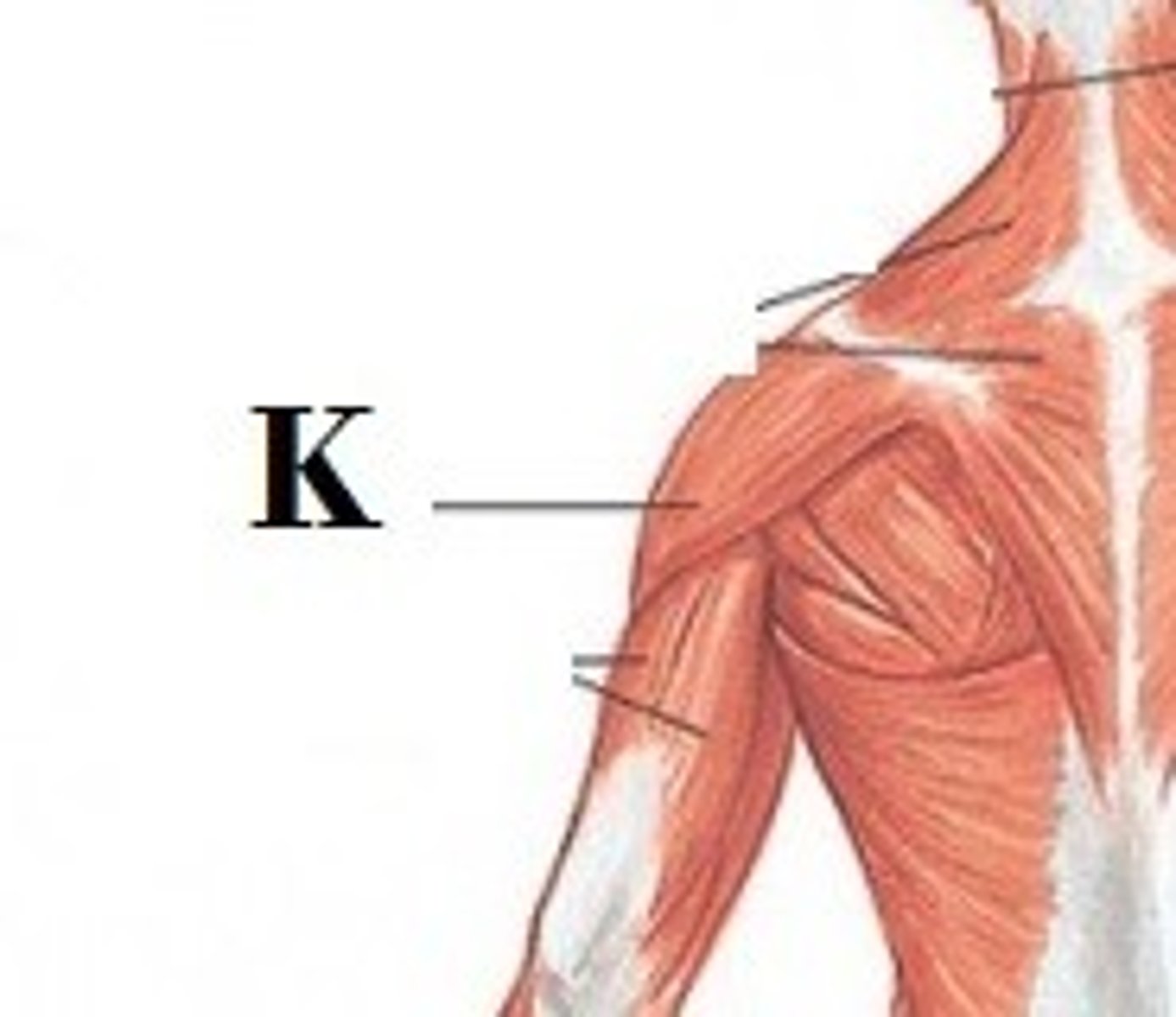 <p>DEFINITION</p>
