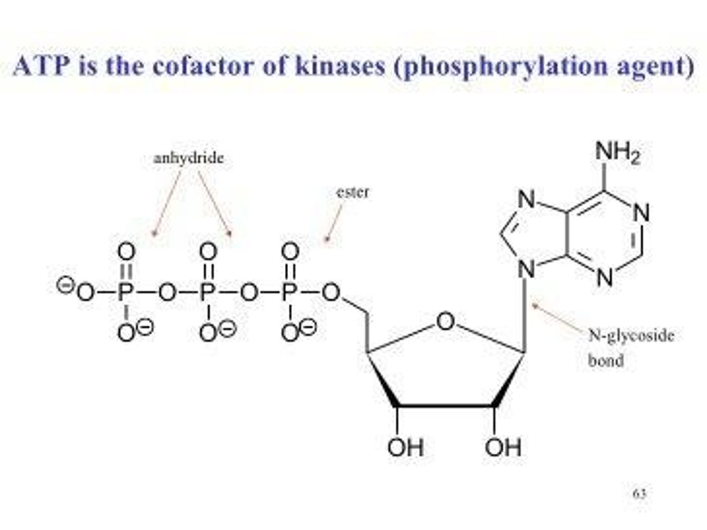 <p>Type of bond in ATP providing energy.</p>
